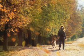 ...очей очарованье