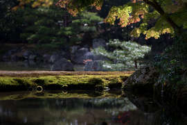 Японский сад