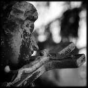 Спаси и сохрани