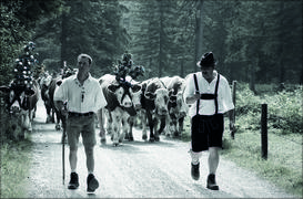 Германия. Тангезее