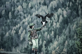 Австрия. Соколиная охота