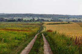 сельская дорога