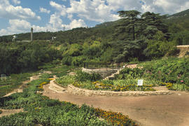 Ботанический сад