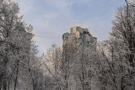 Заснеженная