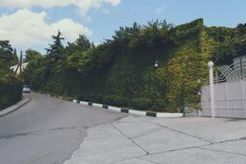 Зеленая ограда