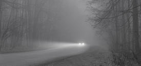 сквозь туман