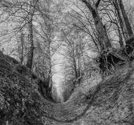 тропа великанов