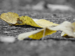 Выделяющиеся в серых буднях