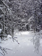 Тропа в сказочный лес