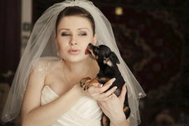 Невеста в фате с собачкой