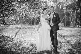 Новоиспеченные молодожены