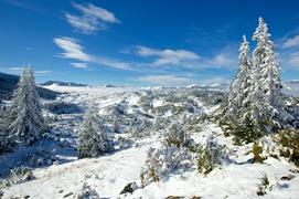 На верхушке горы