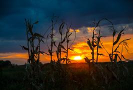 Осенний закат