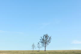 созерцание