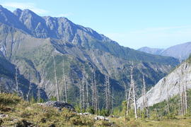 Восточные Саяны