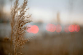 bmw  experience Ставрополь