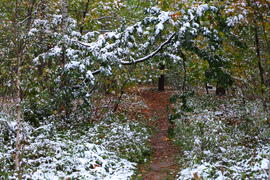 Первый снег