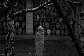 За решоткой