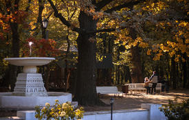 "Осенью весна"