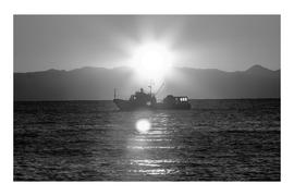 "На просвет"