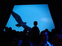 Мальчик и птица. На выставке