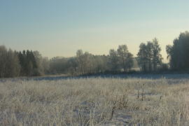 Зимняя природа