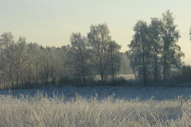Зима, солнечный день, снег, иней