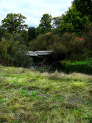 осенняя речка