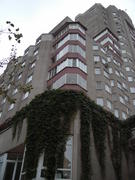 Высотка, обросшая плющом 