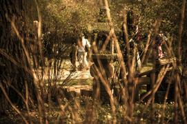 ботанический сад