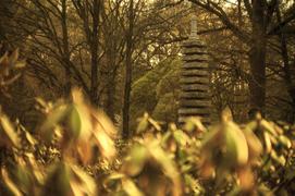 ботанический сад