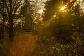 Ботанический сад