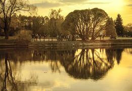 Ботанический сад