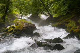 Бурная горная река