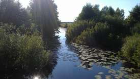 Река Сивинь 2