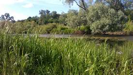 Река Сивинь 1