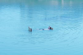 Приснится же такое