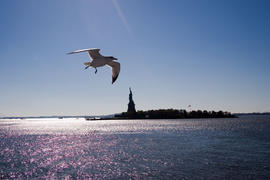 Статуя свободы