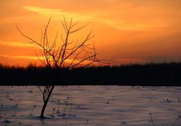 Зимний закат 