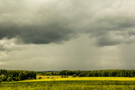 Перед грозой