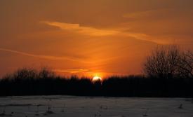 Зимний закат в лесу