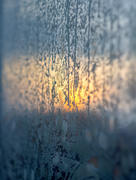 Узоры на окнах на закате