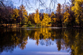 Пруд осенью в лесу