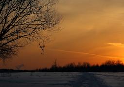 Зима на закате дня