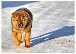 Вдоль по дороге...