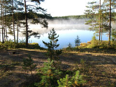 Утренний туман на лесном озере